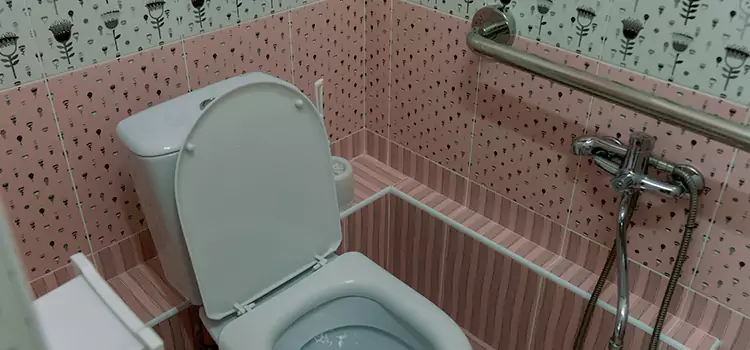 Meeting Diverse Needs With Accessible Restroom Solutions in Apple Valley, CA