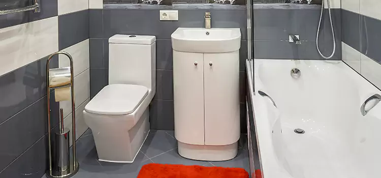 Hansgrohe Shaving Mirror Apple Valley